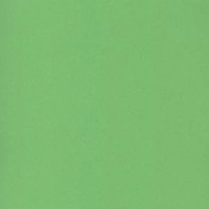 Kaskad Woodpecker Green Copier