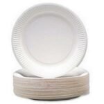 Paper Plates 9 Inch White (Pack 100)
