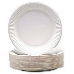 Paper Plates 9 Inch White (Pack 100)
